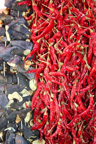 Sušená paprika — Stock fotografie