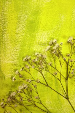 kurutulmuş çiçekler ve arka plan kolaj