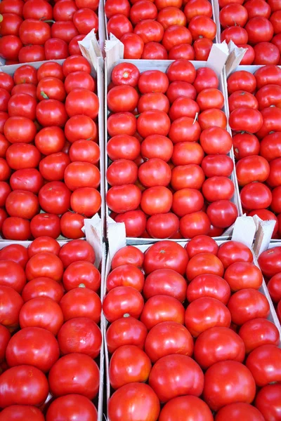 Οργανικές ντομάτες στην επίδειξη στο παζάρι — Φωτογραφία Αρχείου