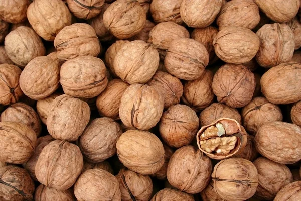 Nueces como fondo — Foto de Stock