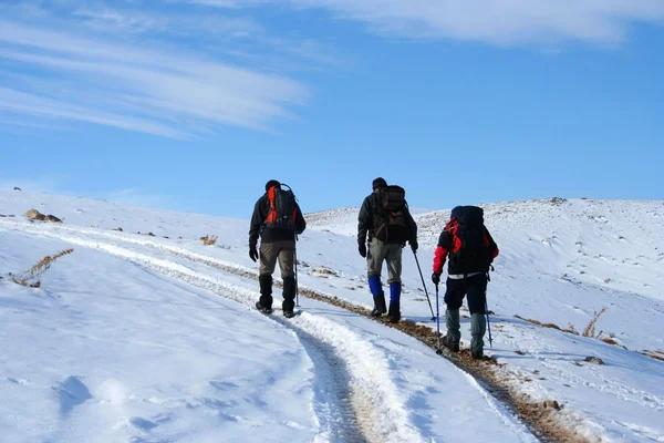 Schnee und ein Berg — Stockfoto