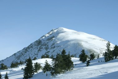 Kışın dağ tepesinde bir görünüm