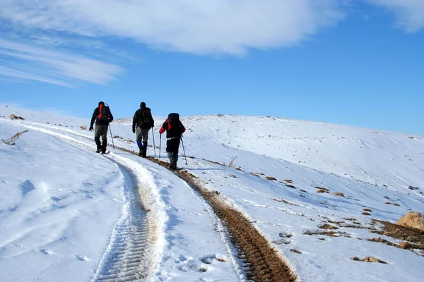 Een uitzicht vanaf de top van de berg in de winter — Stockfoto