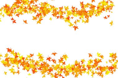 yaprak resimde beyaz zemin üzerine