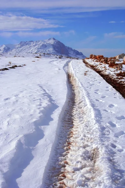 Kışın dağ tepesinde bir görünüm — Stok fotoğraf