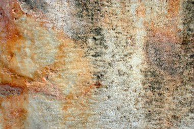 duvar arka plan olarak