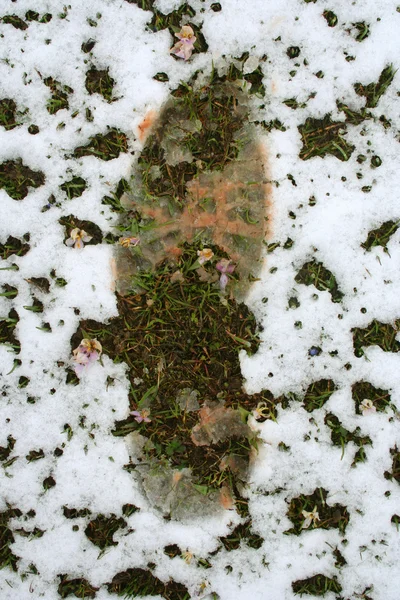 Huella de pie en el patrón de nieve helada como fondo —  Fotos de Stock