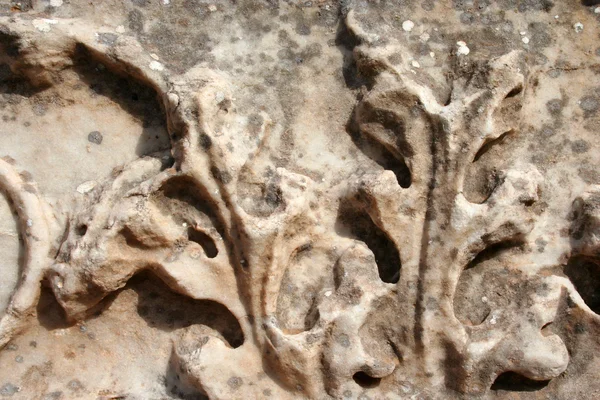 Éphèse ruines en izmir-dinde — Photo