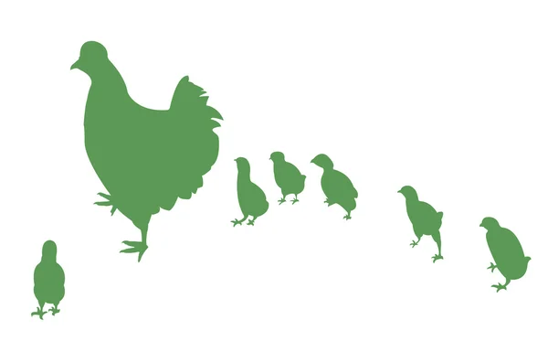 Pollo y sus pollitos, vector — Vector de stock