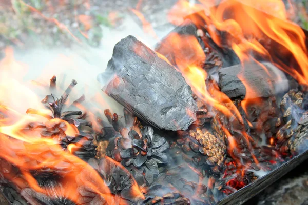燃烧的煤烬火 — 图库照片
