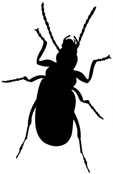 Une silhouette d'insecte — Image vectorielle