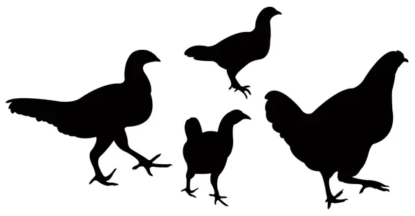 Pollo silueta vector — Archivo Imágenes Vectoriales