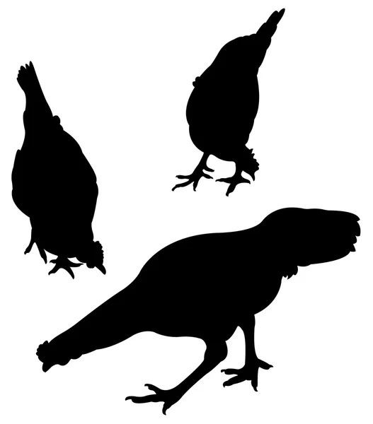 Pollo silueta vector — Vector de stock