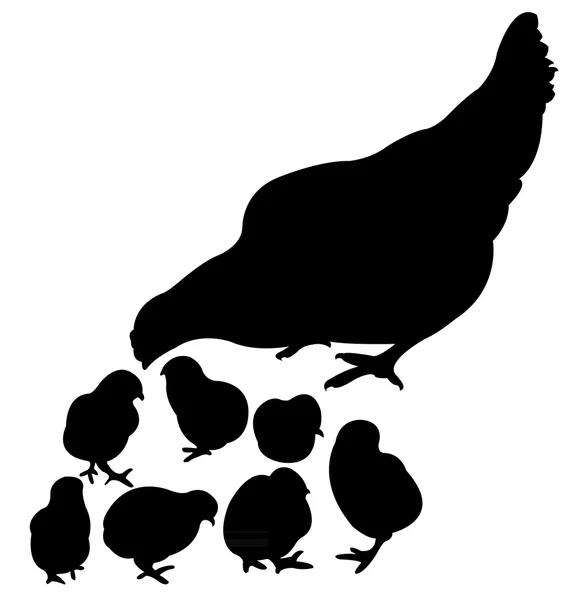 Familia de pollos — Vector de stock