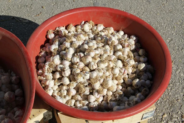 Ajos en el bazar —  Fotos de Stock