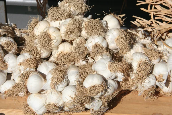 Garlics na Bazar — Stock fotografie