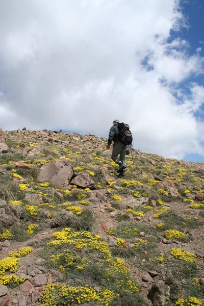 La cima della montagna — Foto Stock