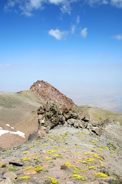 Haut de la montagne — Photo