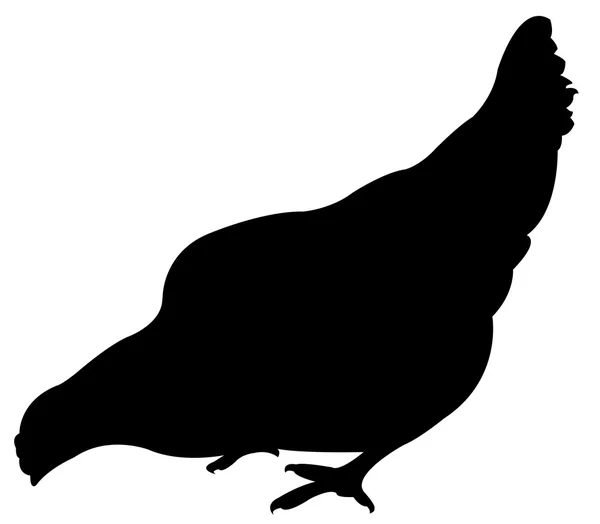 Rooster silhouette vector — Stock Vector