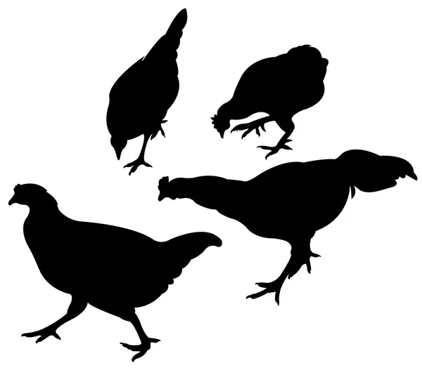 Chickens and roosters, silhouettes vector, collage set — Stock Vector