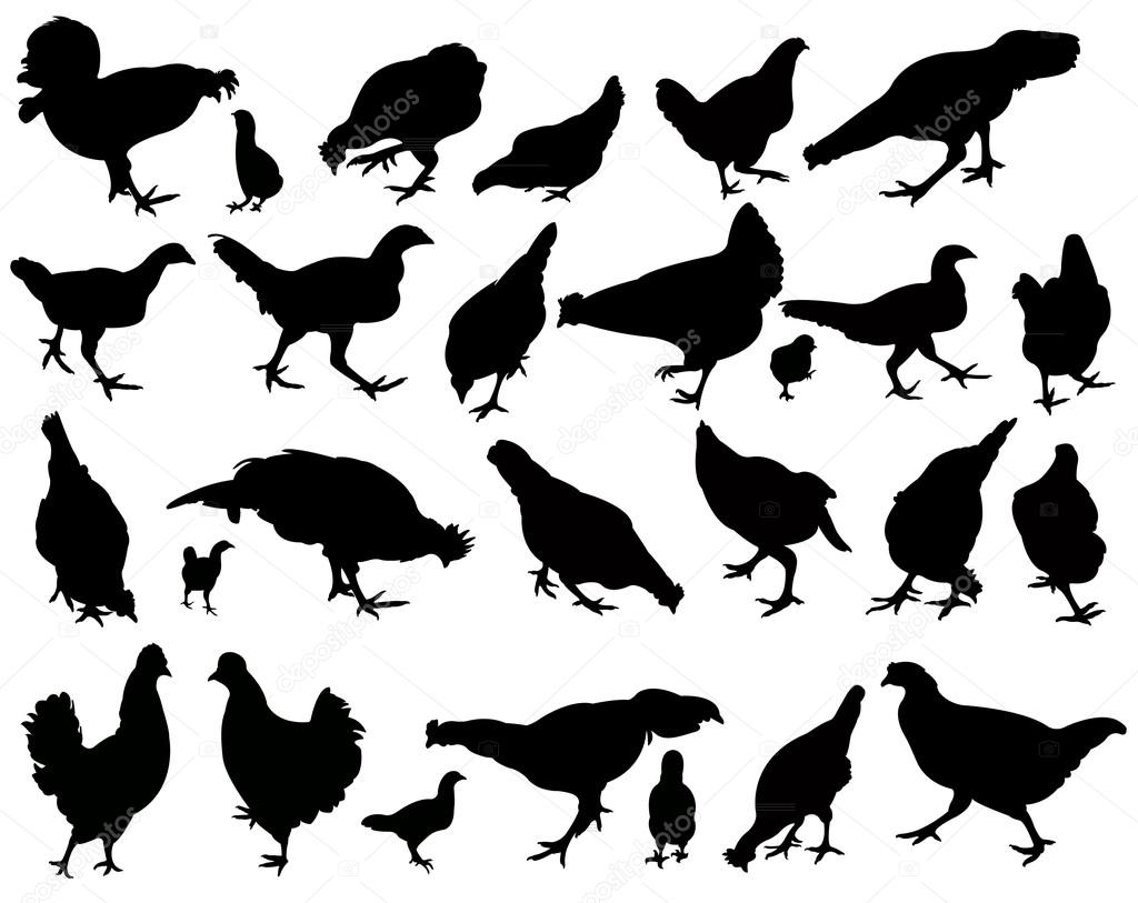 Chickens and roosters, silhouettes vector, collage set