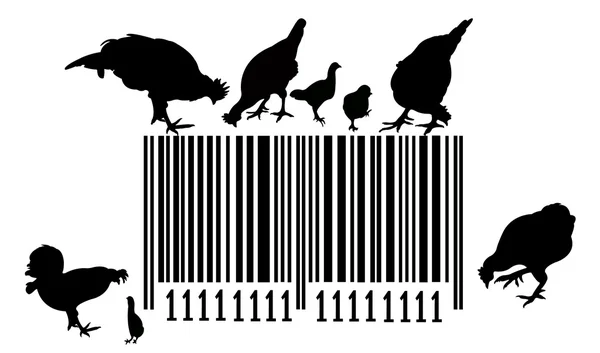 Código de barras y pollos en él — Foto de Stock