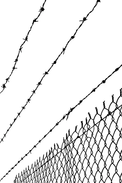 Barbwire — Stock fotografie