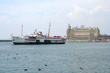 Boğaziçi, istanbul martı