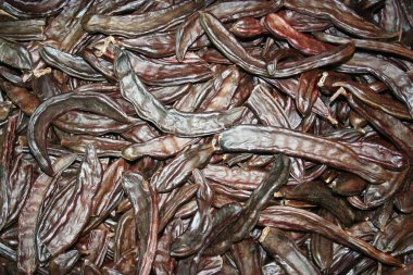 Satılık kahverengi locust arka planı