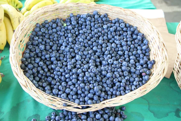 Harvest of fresh acai berries — Stock Photo, Image