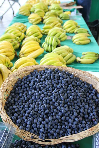 Cosecha de bayas frescas de acai — Foto de Stock