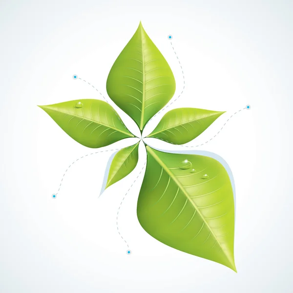 Green economy concept - Leafs inforgaphics EPS10 — Stock Vector