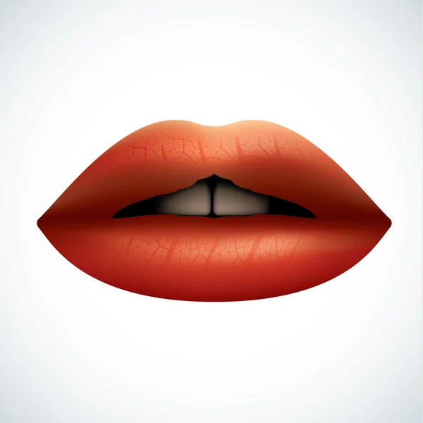 Labios rojos brillantes — Vector de stock