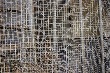 bir koruma için kılavuz