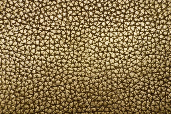 Texture of a genuine leather — Stock Photo, Image