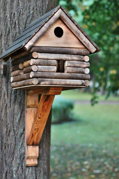 Lodge for birds — Stock Photo, Image