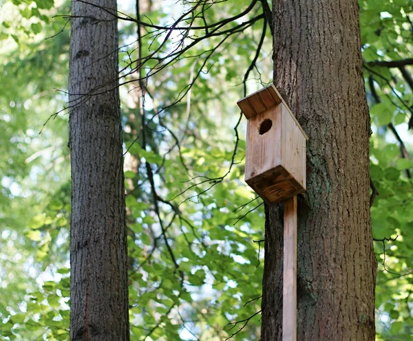 Lodge for birds — Stock Photo, Image