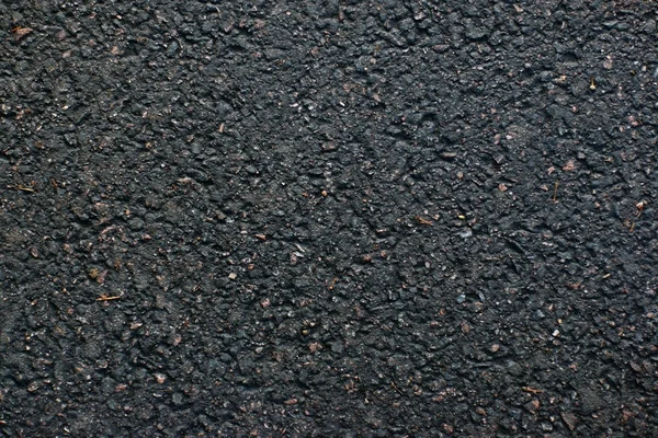 El fragmento del cubrimiento de asfalto en el parque — Foto de Stock