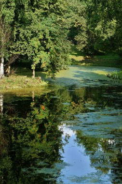 mountain ash gölde yansıyan