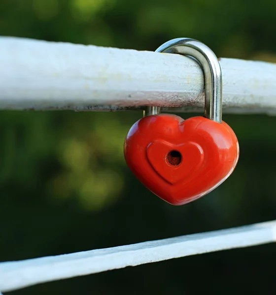 Symbool van constante liefde en toewijding — Stockfoto