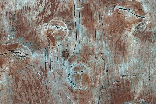 Längsschnitt in einem alten Holzbrett — Stockfoto