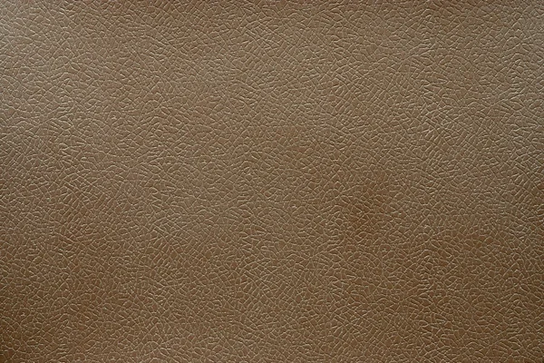 Abstract background from the textured brown skin — Stock Photo, Image