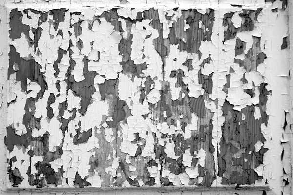 Black-and-white tone of abstract texture — Stock Photo, Image