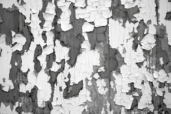 Tono blanco y negro de textura abstracta — Foto de Stock