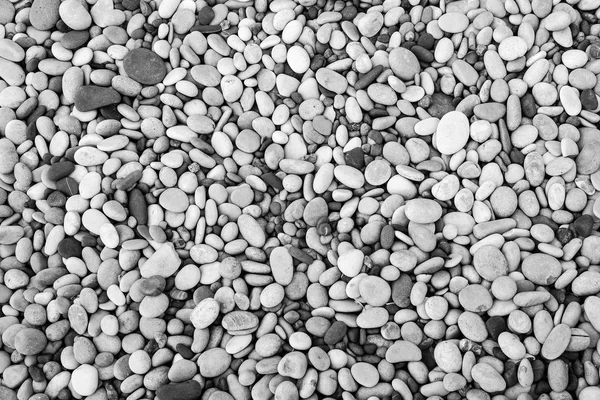 Természetes kő kavicsos hangon fekete-fehér — Stock Fotó