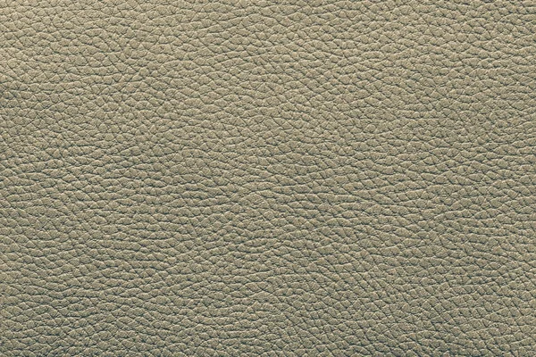 Tecido de couro artificial de cor verde cinza — Fotografia de Stock