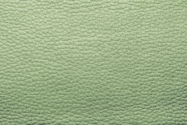 Texture dipinte astratte di colore verde pelle — Foto Stock