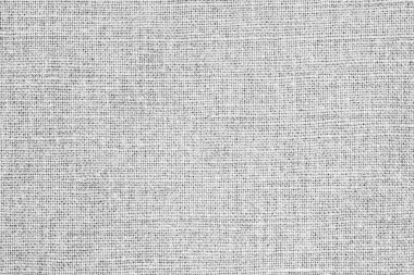 kaba ehlileştirmek beyaz renk