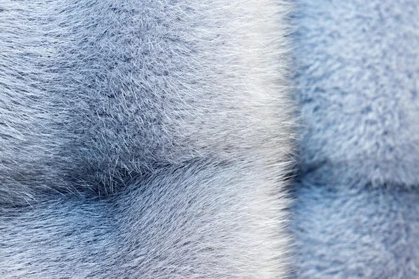 Textura de piel de color gris-azul — Foto de Stock