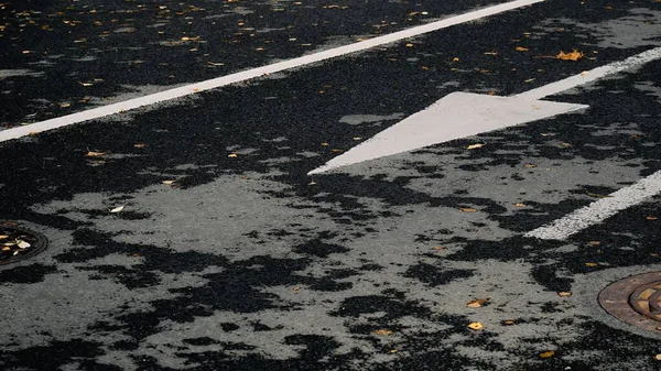 Weiße Straßenmarkierungen Mit Richtungspfeil Auf Schwarzem Asphalt Mit Herbstlaub — Stockfoto